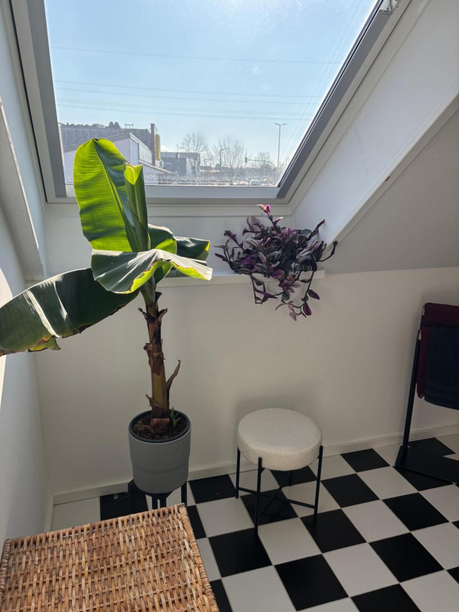 Apartment Zentrale Lage, Kostenlos Parken, Ideal Fuer Pendler, Und Haustiere Willkommen!!